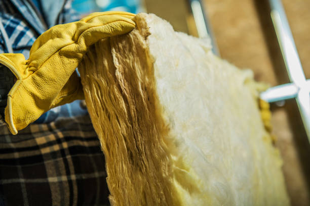 Best Geographic-Specific Insulation Services in Monticello, GA