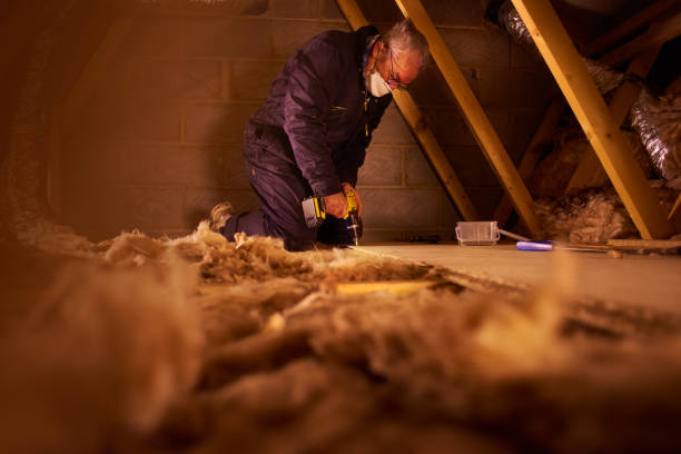 Best DIY Insulation Kits and Guidance in Monticello, GA